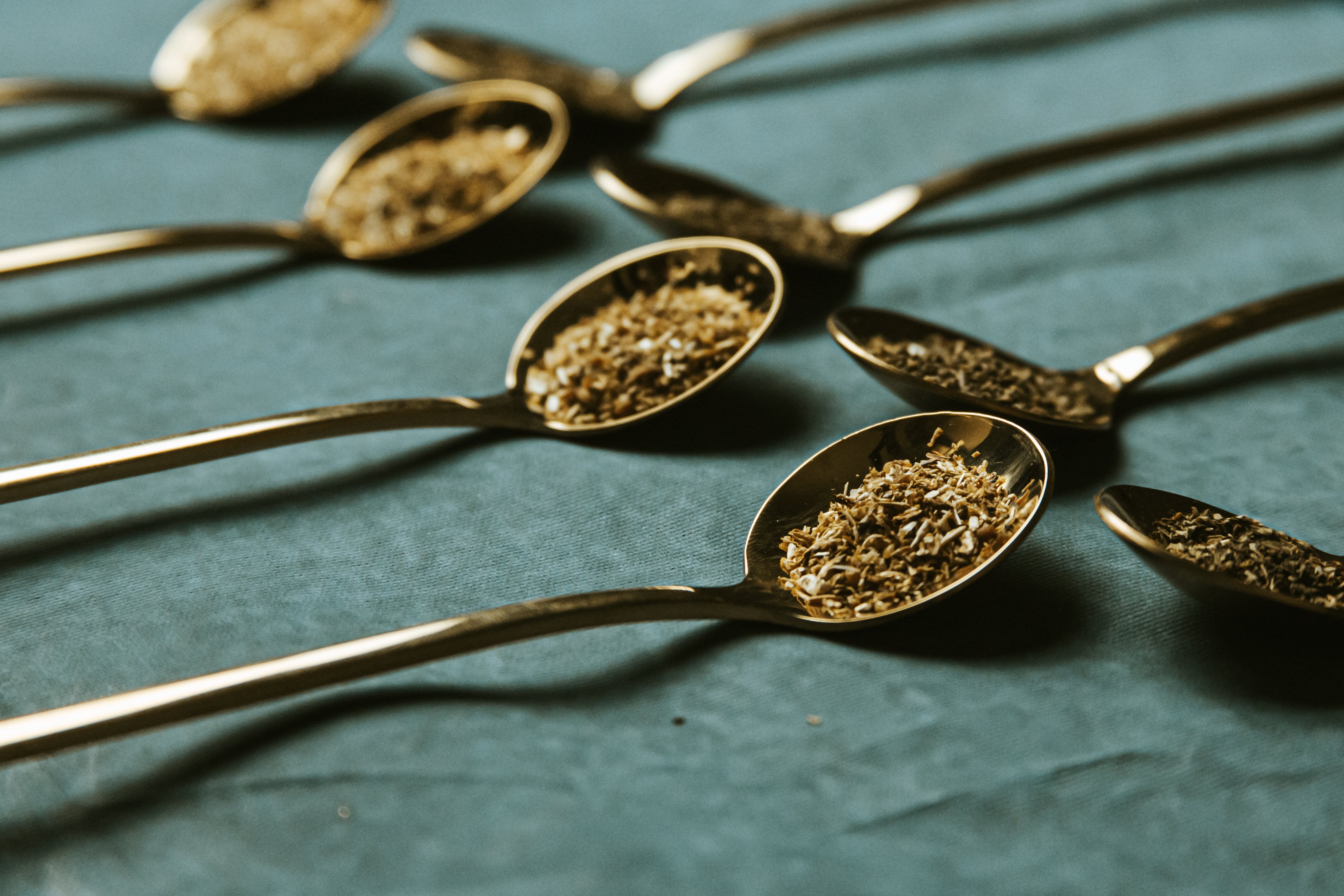 spoons-lined-up-holding-loose-leaf-tea.jpg